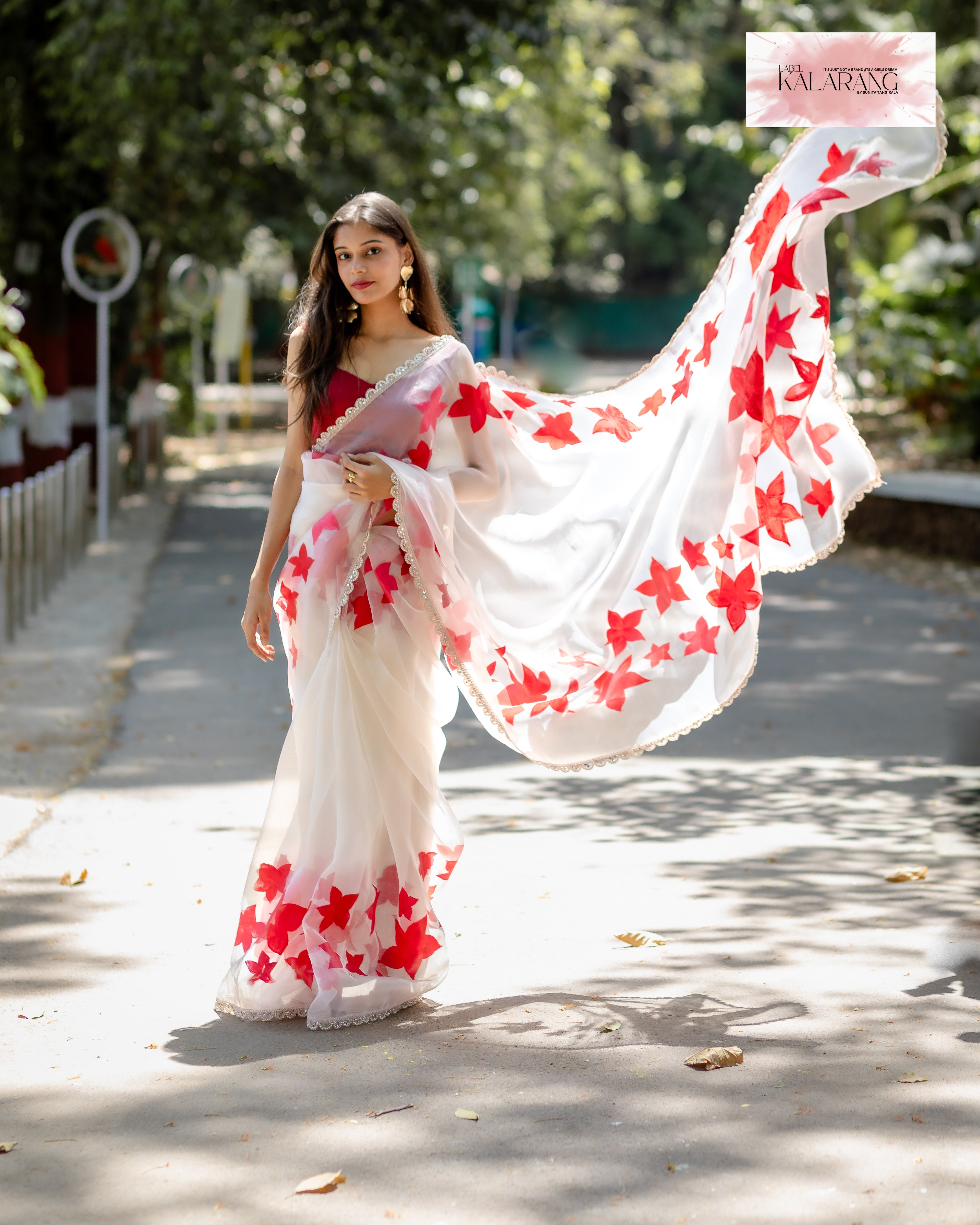 white handpainted organza saree